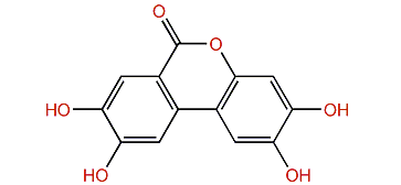 Cladophorol A